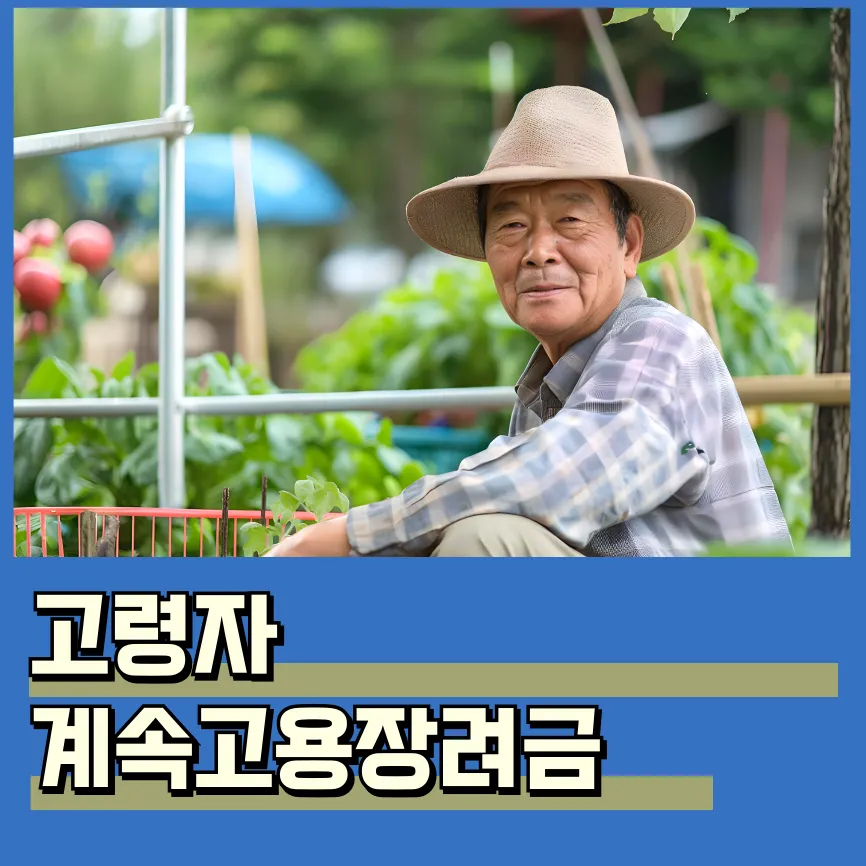 고령자 계속고용장려금 대상 조건 신청 방법 금액