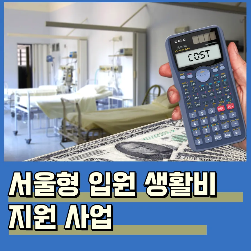 서울형 입원 생활비 지원 내용 신청 방법 대상